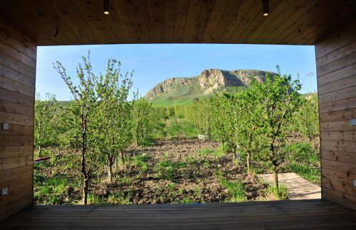 Il Bevaio di Corleone - Foto 46