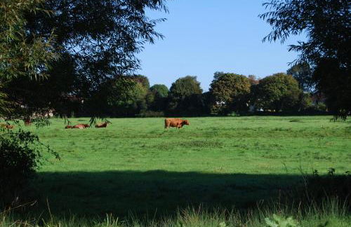 Fig Cottage, near Bradford on Avon and Bath - Foto 30