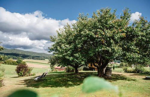 Ferienhaus zur Weinlaube - Foto 16