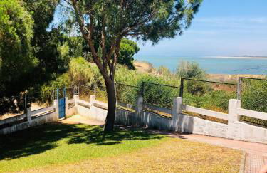 Castillo del Espiritu Santo (La Jara) - Foto 34