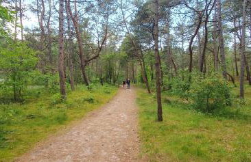 Perłowa Oaza Apartament Rogowo Pearl - Foto 37