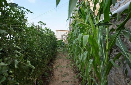 Prima Luce - Photo 23