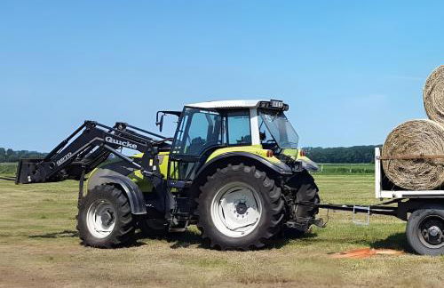 Ferienhof Wernecke Ferienwohnung - Foto 18