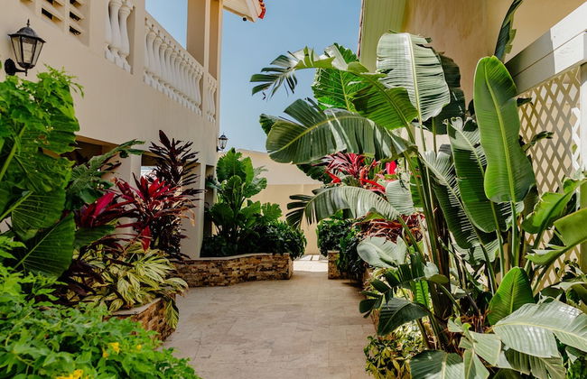 Charming 1-bedroom Apartment 2 km From Eagle Beach - Foto 18