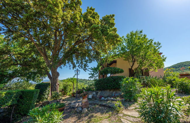 La Limonaia - Foto 16