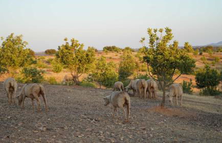 Agroturismo Xistos - Foto 50