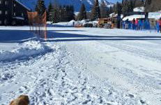 Tana delle Marmotte - Foto 3