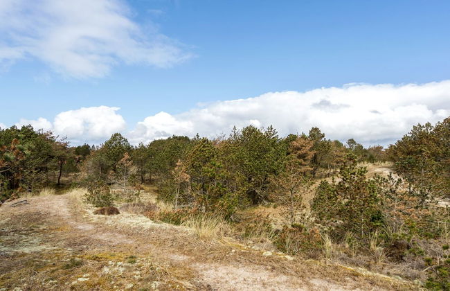 "Eldert" - 1.2km from the sea - Foto 35