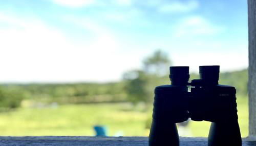 Incredible A-frame with Fabulous Panoramic Views and Hot-tub in Makanda, Illinois - Foto 4