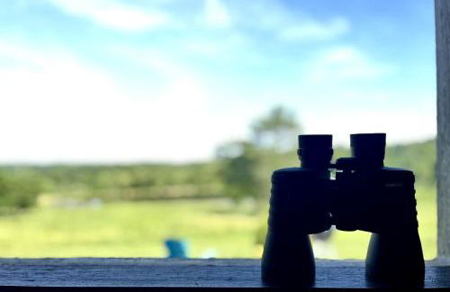 Incredible A-frame with Fabulous Panoramic Views and Hot-tub in Makanda, Illinois - Foto 4