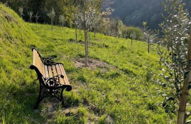 Leon Morto - Foto 54