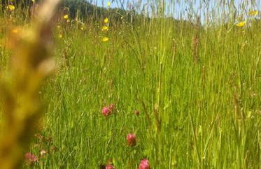 Wye Valley near Tintern Abbey Charming cottage within farmhouse Rocklea Farm,Broadstone, Trellech Monmouthshire - Foto 27