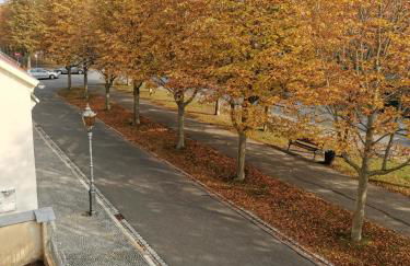 Alleeblick - Foto 22