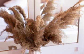 Villa Aelia Kefalos-Private & Spacious with Pool - Foto 10