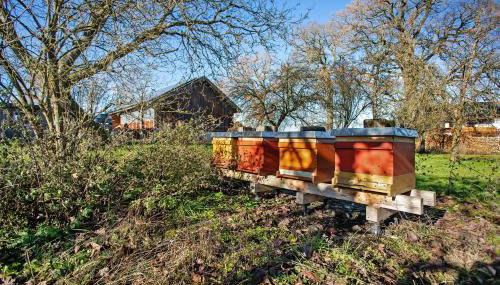 Haus am Hof - Photo 3