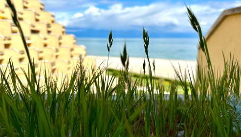 Senigallia, nuovo monolocale fronte mare al Residence Le Piramidi - SE078 - Foto 5