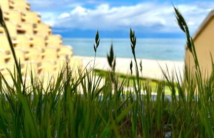 Senigallia, nuovo monolocale fronte mare al Residence Le Piramidi - SE078 - Foto 5