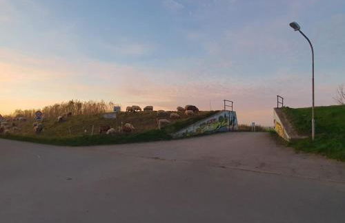 Holiday home Oase Balje - Foto 39