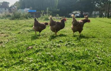 Gîte Côte Fleurie, 2 à 4 personnes, La Ferme de Valambray - Foto 18
