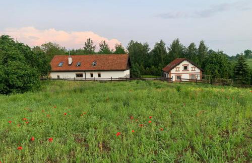 Miejski Las 8 - Foto 37