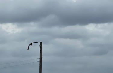 Private Beach Front house Newport, New Jersey - Foto 36
