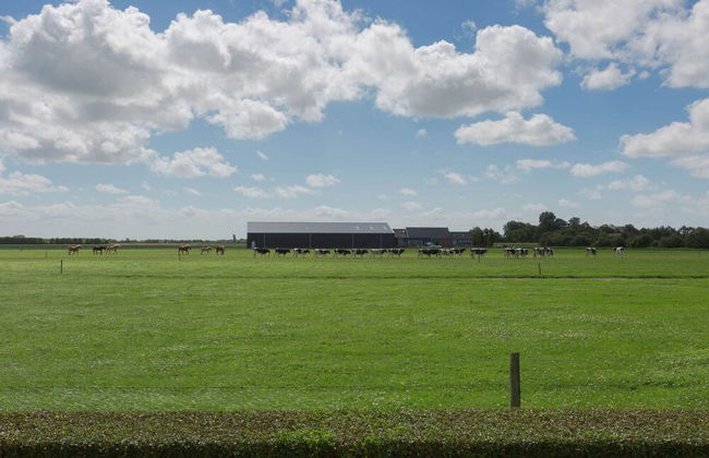 Holiday Home in Oostkapelle Near Forest - Photo 26