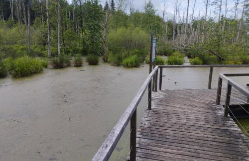 Ferienwohnung in Thermalbadnähe - Foto 21