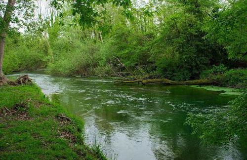 Cozy & Spacious Casa Friulana - Foto 17