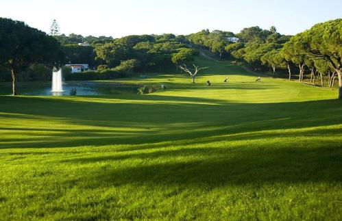 Sunny Lounge Apartment - Photo 17