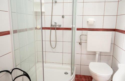 Dalmatian - Photo 34