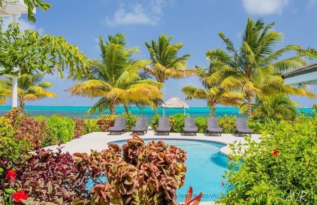 Jet Luxury at The Tara Del Sol Belize - Foto 38