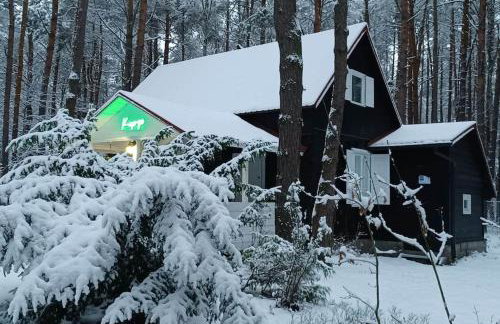 Wilga - urokliwy dom z bala (50 km od Warszawy) - Foto 27