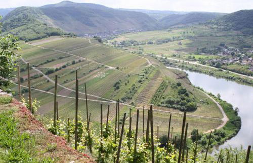 Komfort Ferienwohnung FEWO74-2 - Foto 46