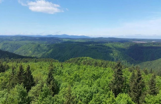 Bungalow in Neustadt Nahe Barbarossa Hohle - Foto 32