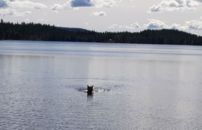 Villa Fjara - Foto 28