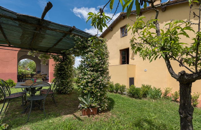 Podere Torricella - Foto 71