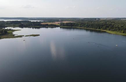 Dom w Zaciszu Drzew Szkotowo - Foto 10