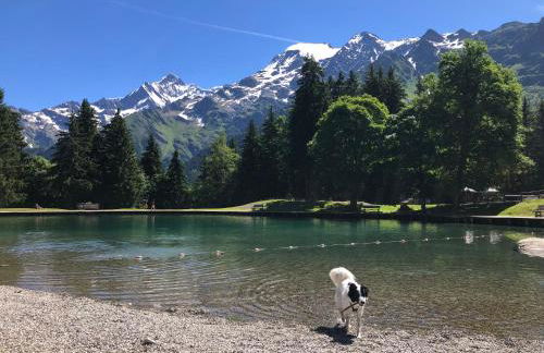 Chalet Rivière du Bon Nant Location de 6 à 14 personnes en Haute Savoie - Foto 46