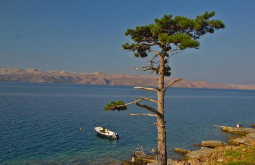 Apartment Camelia with pool and sea view - Foto 62