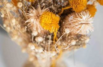 Studio cosy, neuf, hyper centre - Foto 2