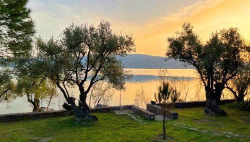 Traditional Stone House in Seafront Olive Grove A - Foto 2, Garden