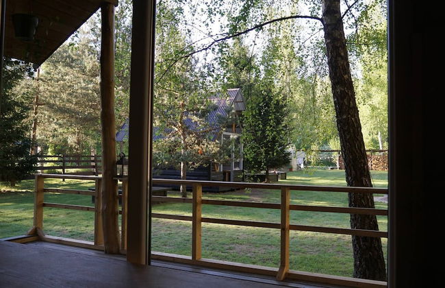 Metai Miške&a Year in the Forest - Photo 36