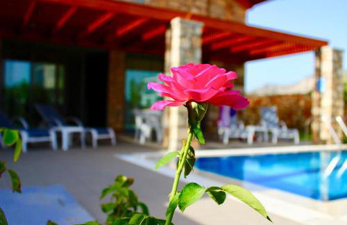 Estrella Villas - Foto 8