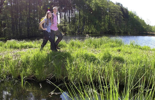 Detached Holiday Home in an Idyllic Quiet Location - Photo 71