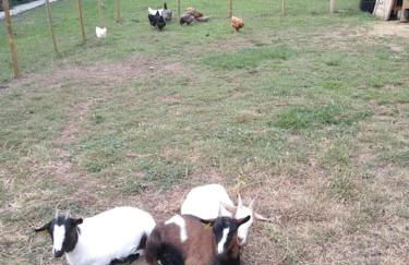 Kira en Las Merindades - Photo 9