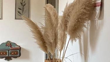 Adamasseria - Photo 4