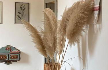 Adamasseria - Photo 4