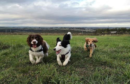 The Coach House & The Stables Yorkshire Peak District With and without hot tub options - Foto 37