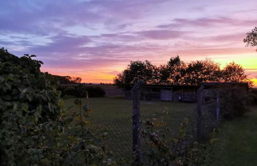 Reet Landhaus Rügen - Foto 5