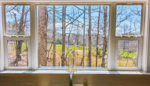 Oasis on 151 - Ideal Location on Brew Ridge Trail - Foto 5